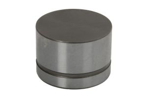 Popychacz zaworu 420 0042 10