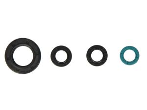 Komplet uszczelniaczy silnika P400210400188