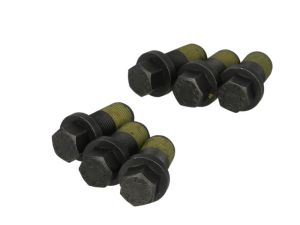 Zestaw śrub koła zamachowego 411 0200 10