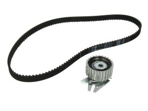 Zestaw paska rozrządu 530 0221 10