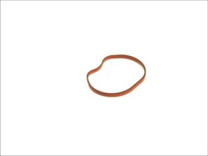 Uszczelka kolektora dolotowego EL025260