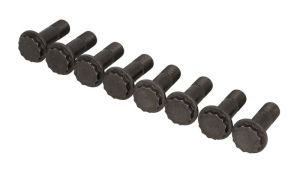 Zestaw śrub koła zamachowego 411 0173 10