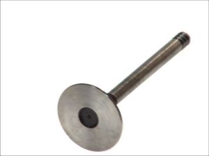 Zawór ssący 4111/S