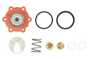 Zestaw naprawczy pompy paliwa ENT110294