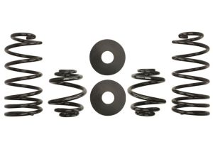 Sprężyna obniżająca E10-15-004-03-22