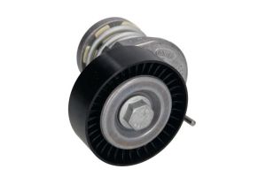 Napinacz paska wieloklinowego 534 0164 10