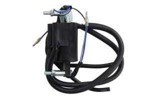 Cewka zapłonowa DZE04110