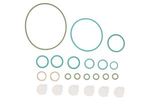 Zestaw naprawczy pompy paliwa ENT210056