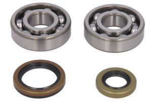 Zestaw naprawczy wału korbowego AB24-1119