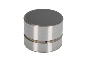 Popychacz zaworu 420 0022 10