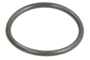 Oring LE100460