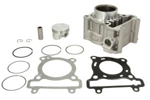 Cylinder silnika RMS 10 008 1120