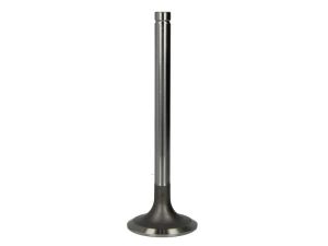 Zawór ssący PZET012