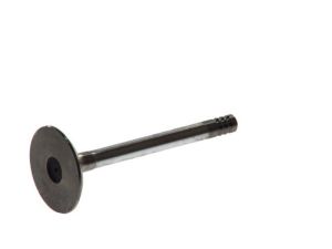 Zawór ssący 4641/SCR