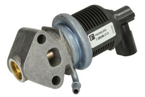 Zawór EGR 7.28248.17.0