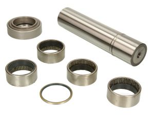 Zestaw naprawczy sworznia zwrotnicy AUG56164