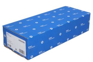 Wtryskiwacz DEL42019383