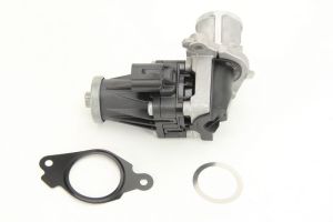 Zawór EGR 7.01599.10.0