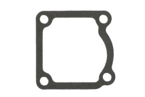 Uszczelka obudowy termostatu 4256407-FP