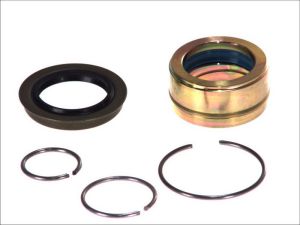 Zestaw naprawczy, pompa przechylna AUG55501