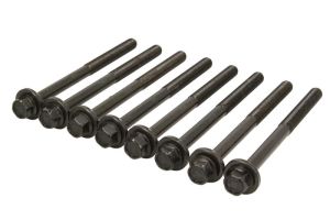 Zestaw śrub głowicy cylindrów AJU81050600