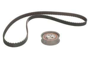 Zestaw paska rozrządu 530 0392 10