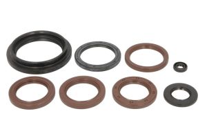 Komplet uszczelniaczy silnika P400510400072