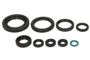 Komplet uszczelniaczy silnika P400210400197