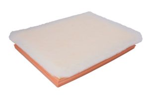 Filtr powietrza C 30 138