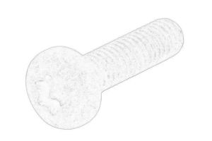 Śruba N   107 002 01