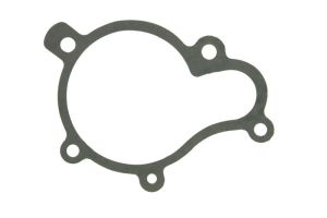 Zestaw uszczelek pompy cieczy chłodzącej D10522AOEM