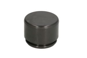 Tłoczek zacisku hamulcowego D0-25255