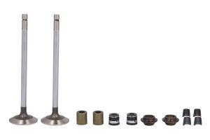 Zawór wydechowy RE557891-FP