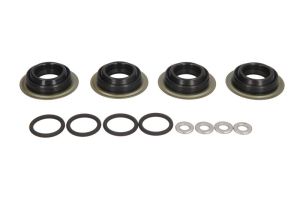 Zestaw montażowy wtryskiwacza ENT250514