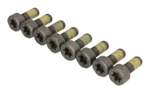 Zestaw śrub koła zamachowego 411 0259 10