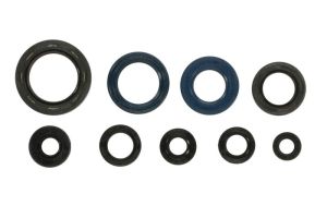 Kompletny zestaw uszczelek silnika P400210400124