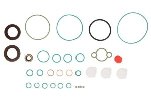 Zestaw naprawczy pompy paliwa ENT210057