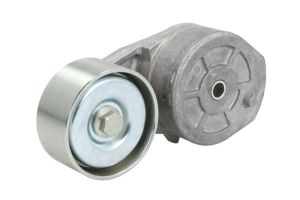 Napinacz paska wieloklinowego DAYAPV2927