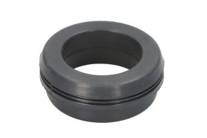 Pierścień uszcz., przewód dolotowy obudowy filtra powietrza DCB079TT