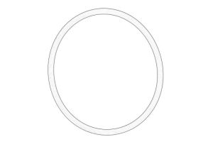 Pierścień uszczelniający N   900 733 01