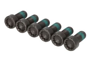 Zestaw śrub koła zamachowego 411 0236 10