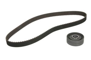 Zestaw paska rozrządu 530 0152 10