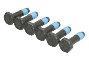 Zestaw śrub koła zamachowego 411 0239 10