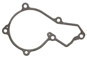 Uszczelka pompy cieczy chłodzącej R504885-FP