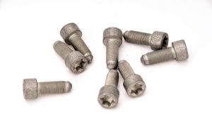 Zestaw śrub koła zamachowego 411 0160 10