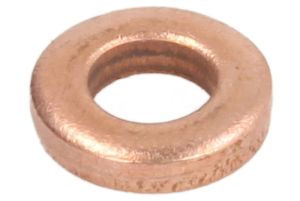 Pierścień uszczelniający ENT250059/1