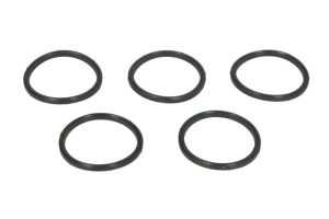 Oring przelewu systemu Common Rail F 00R 0P0 480K