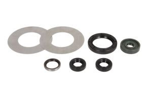 Komplet uszczelniaczy silnika P400270400081