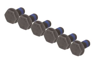 Zestaw śrub koła zamachowego 411 0007 10