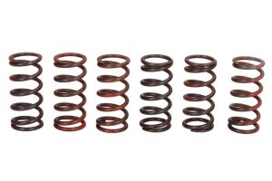 Zestaw sprężyn sprzęgła MEF300-6